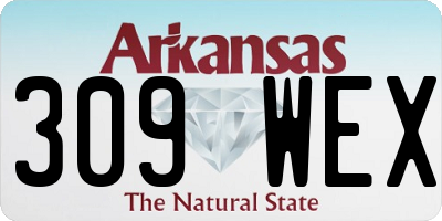 AR license plate 309WEX