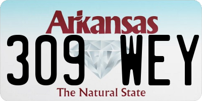 AR license plate 309WEY