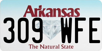 AR license plate 309WFE
