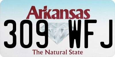 AR license plate 309WFJ