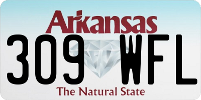 AR license plate 309WFL