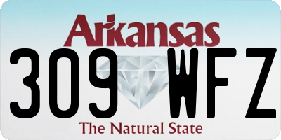 AR license plate 309WFZ