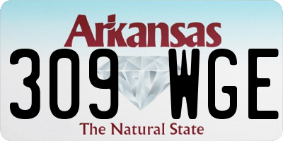 AR license plate 309WGE