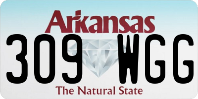 AR license plate 309WGG