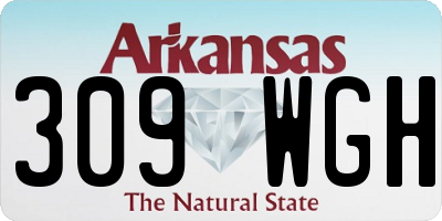AR license plate 309WGH