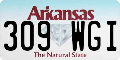AR license plate 309WGI