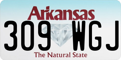 AR license plate 309WGJ