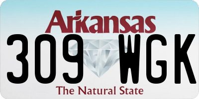 AR license plate 309WGK