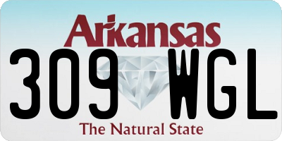AR license plate 309WGL