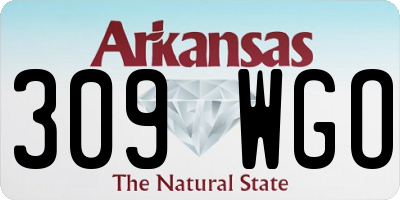 AR license plate 309WGO