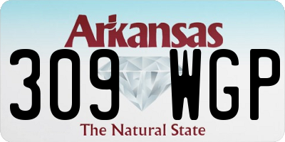 AR license plate 309WGP