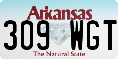 AR license plate 309WGT