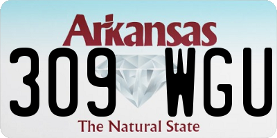 AR license plate 309WGU
