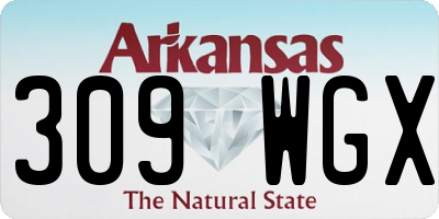 AR license plate 309WGX