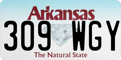 AR license plate 309WGY