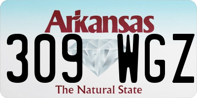AR license plate 309WGZ