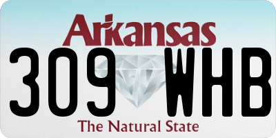 AR license plate 309WHB