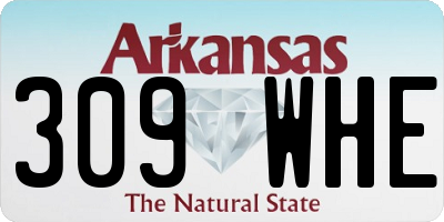 AR license plate 309WHE