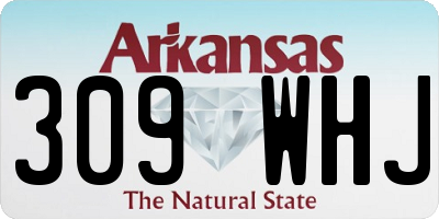 AR license plate 309WHJ
