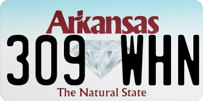 AR license plate 309WHN