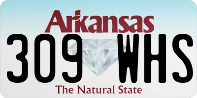 AR license plate 309WHS