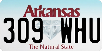 AR license plate 309WHU