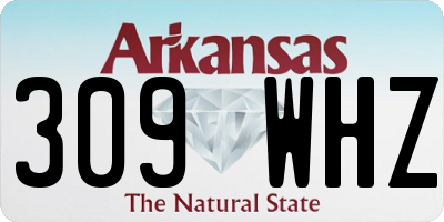 AR license plate 309WHZ