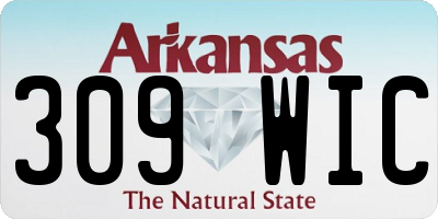 AR license plate 309WIC