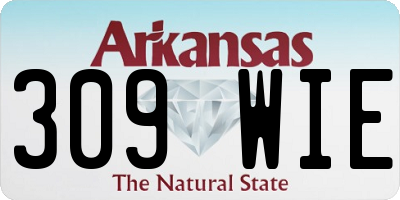 AR license plate 309WIE