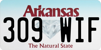AR license plate 309WIF