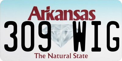 AR license plate 309WIG