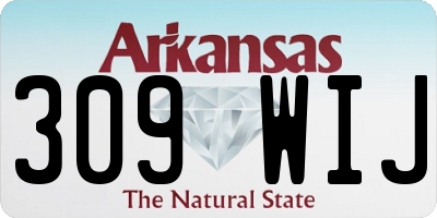 AR license plate 309WIJ