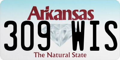 AR license plate 309WIS