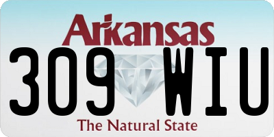 AR license plate 309WIU