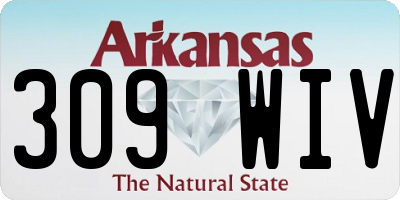 AR license plate 309WIV