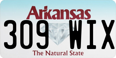 AR license plate 309WIX