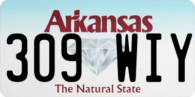 AR license plate 309WIY