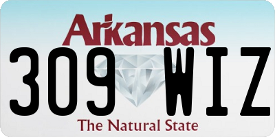 AR license plate 309WIZ