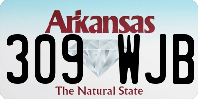 AR license plate 309WJB