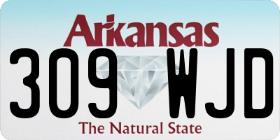 AR license plate 309WJD