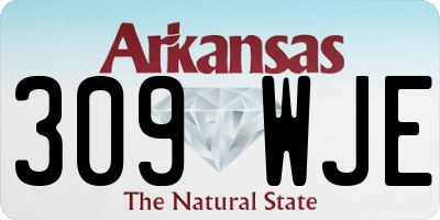 AR license plate 309WJE