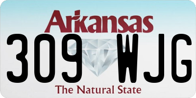 AR license plate 309WJG