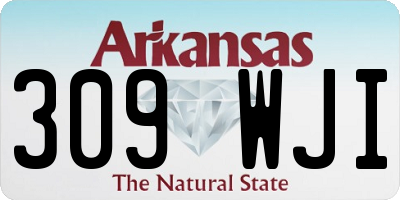 AR license plate 309WJI