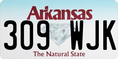 AR license plate 309WJK