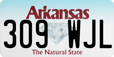 AR license plate 309WJL