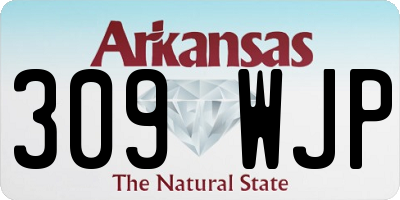 AR license plate 309WJP