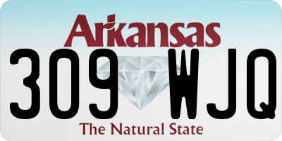 AR license plate 309WJQ