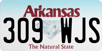 AR license plate 309WJS