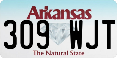 AR license plate 309WJT