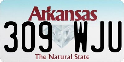 AR license plate 309WJU